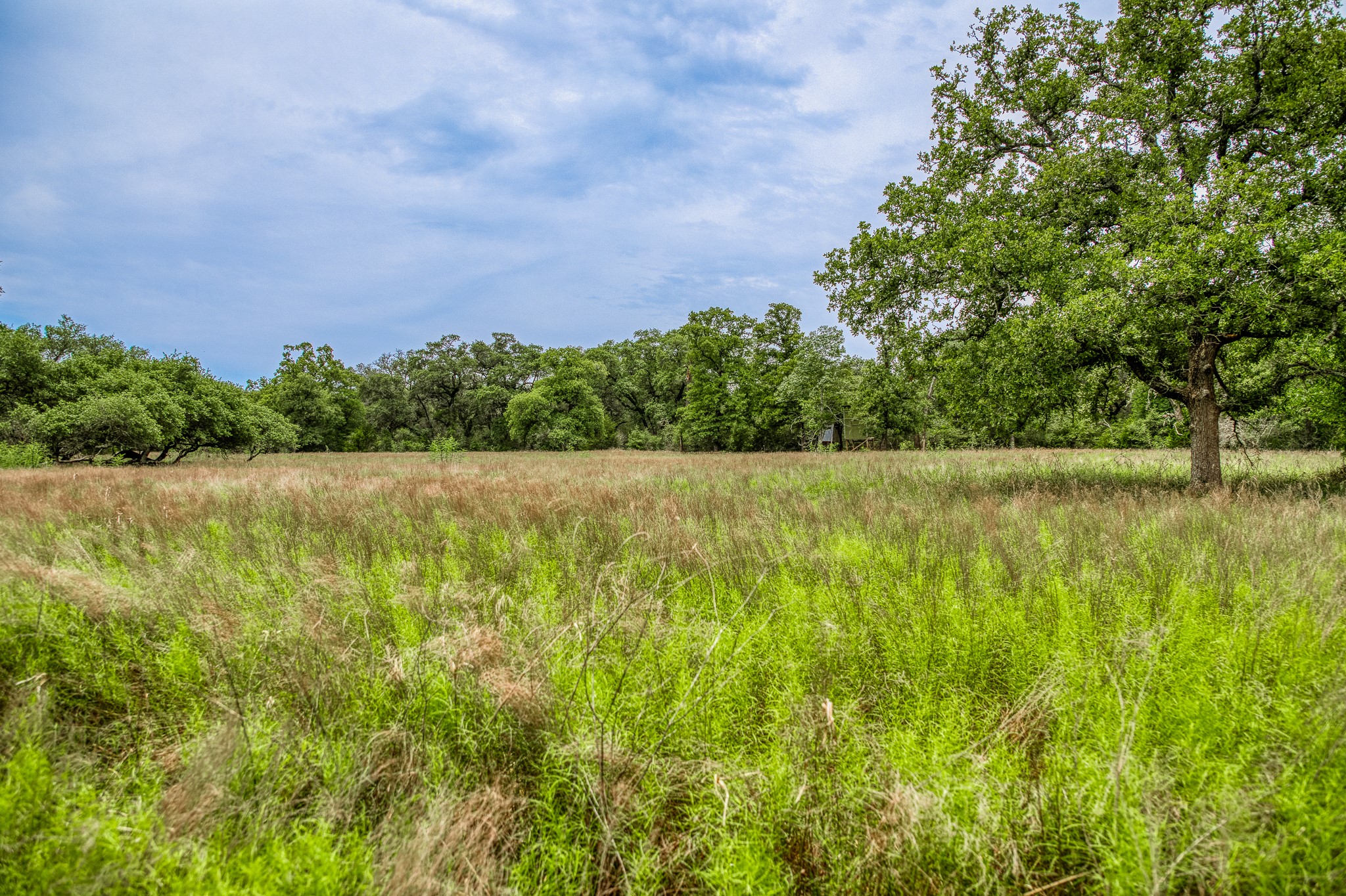 Tbd Cr 125 Property Photo 1