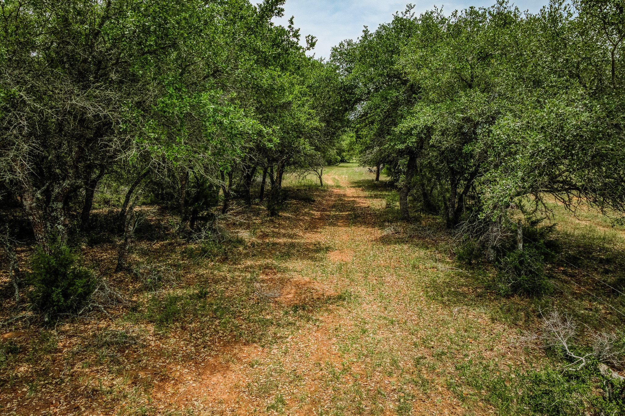 Tbd Cr 125 Property Photo 4