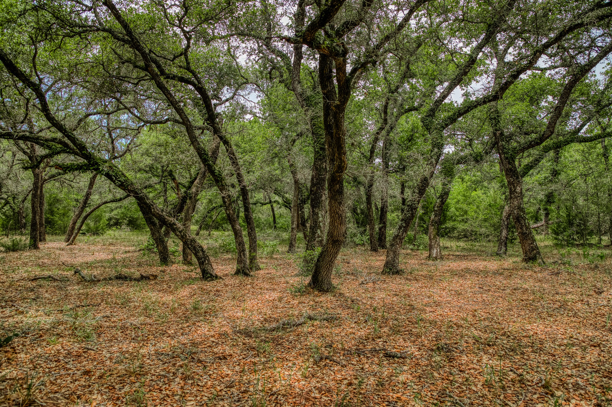 Tbd Cr 125 Property Photo 12