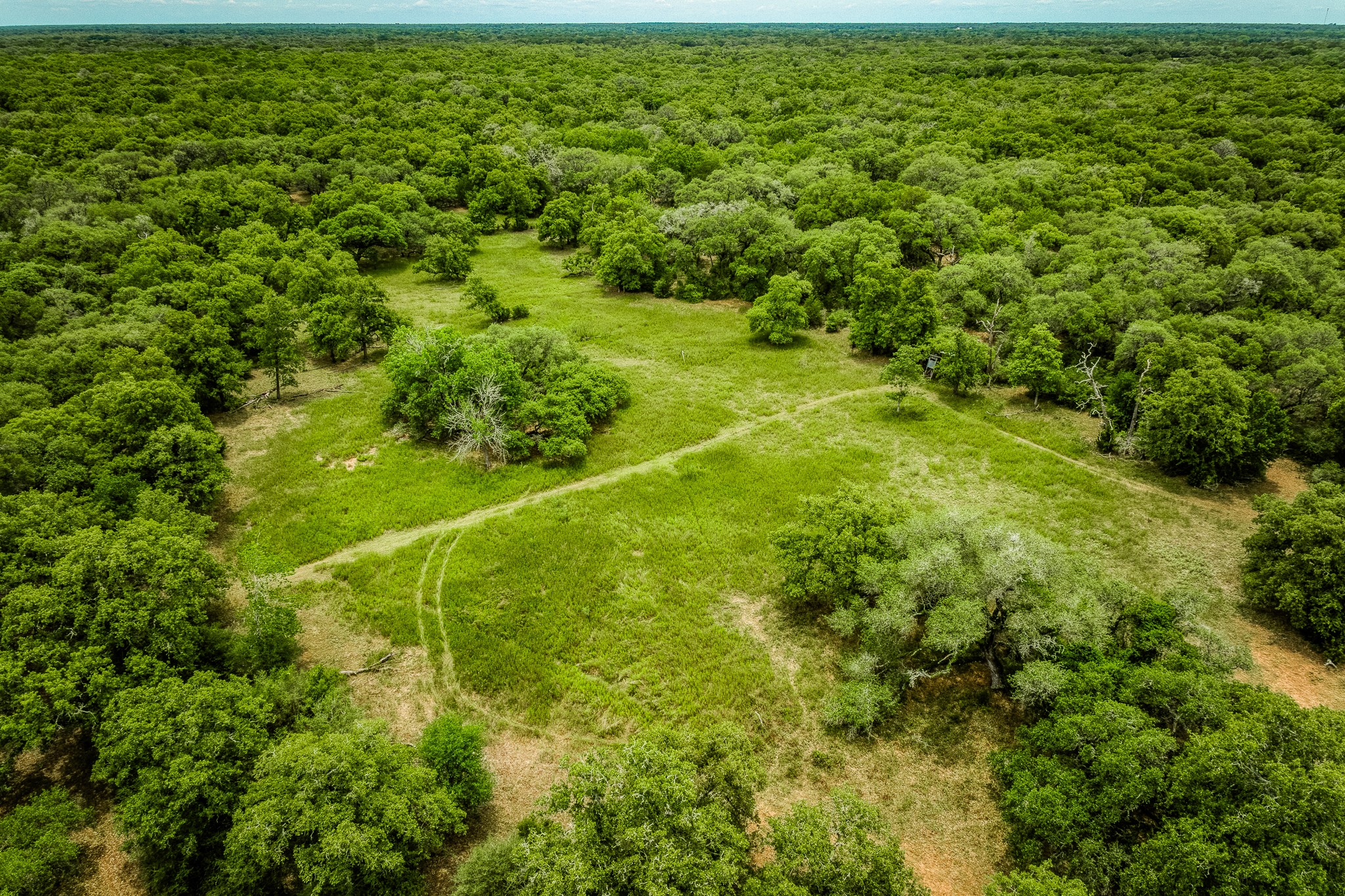 Tbd Cr 125 Property Photo 13