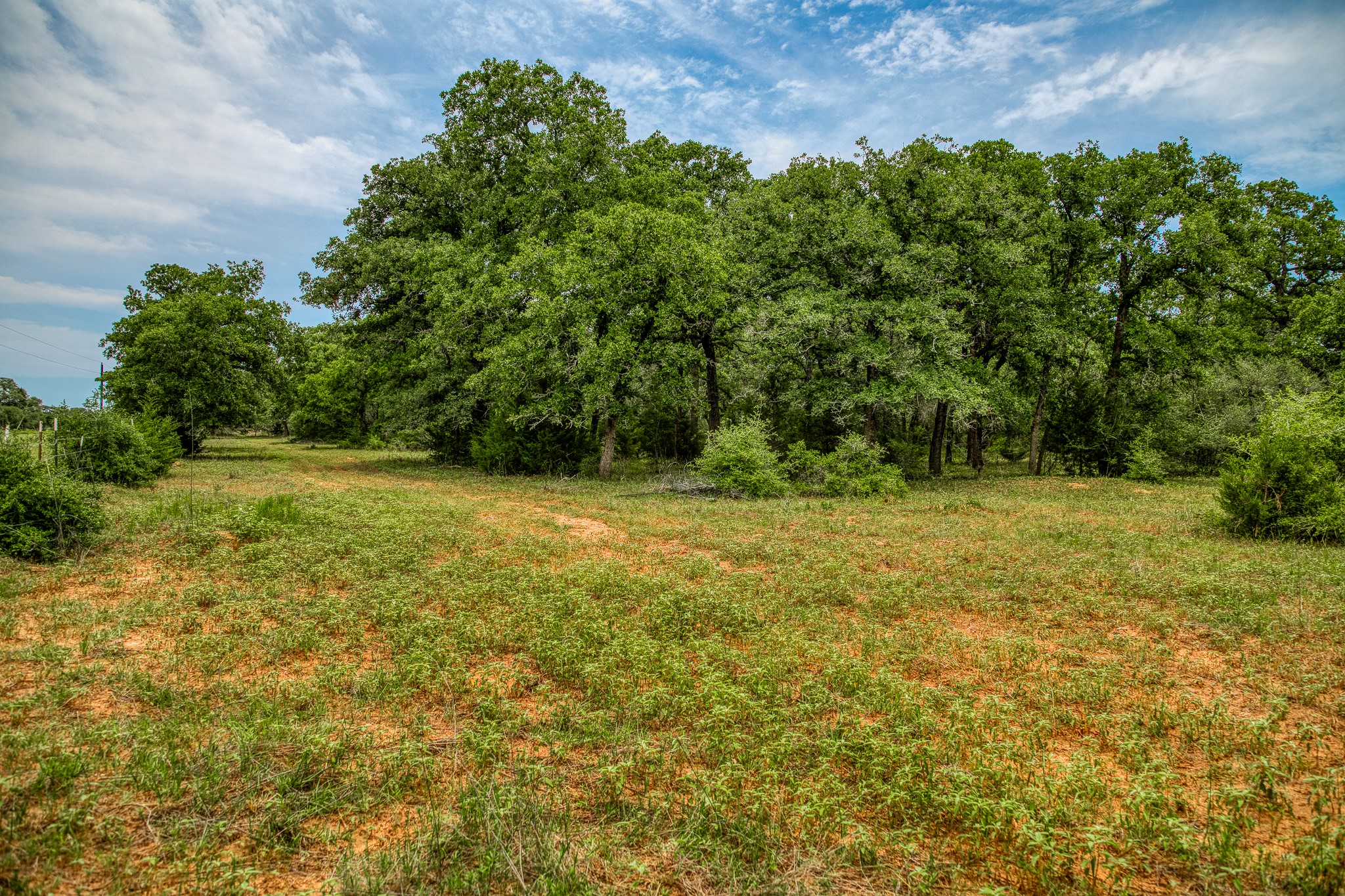 Tbd Cr 125 Property Photo 14