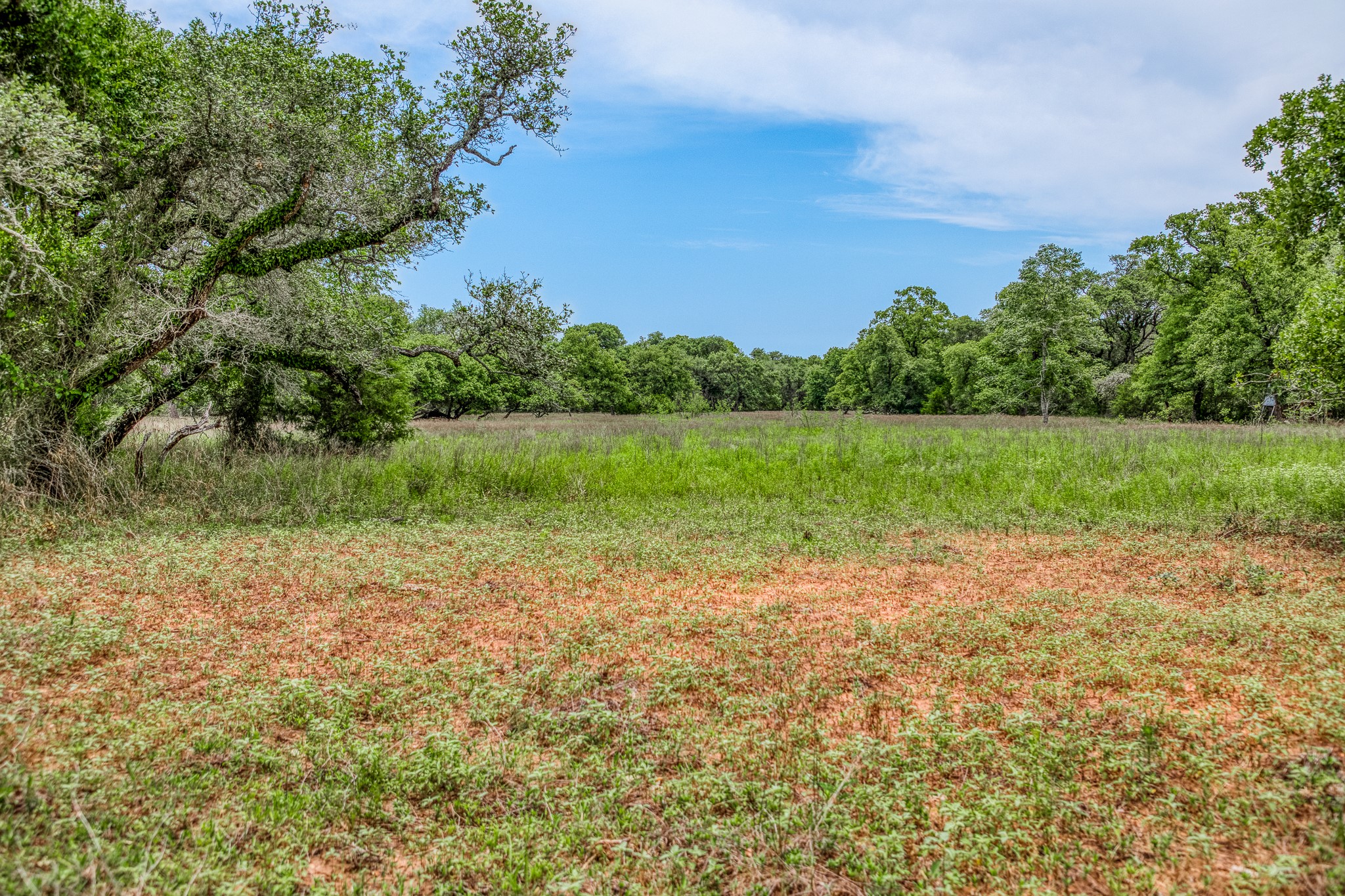 Tbd Cr 125 Property Photo 16