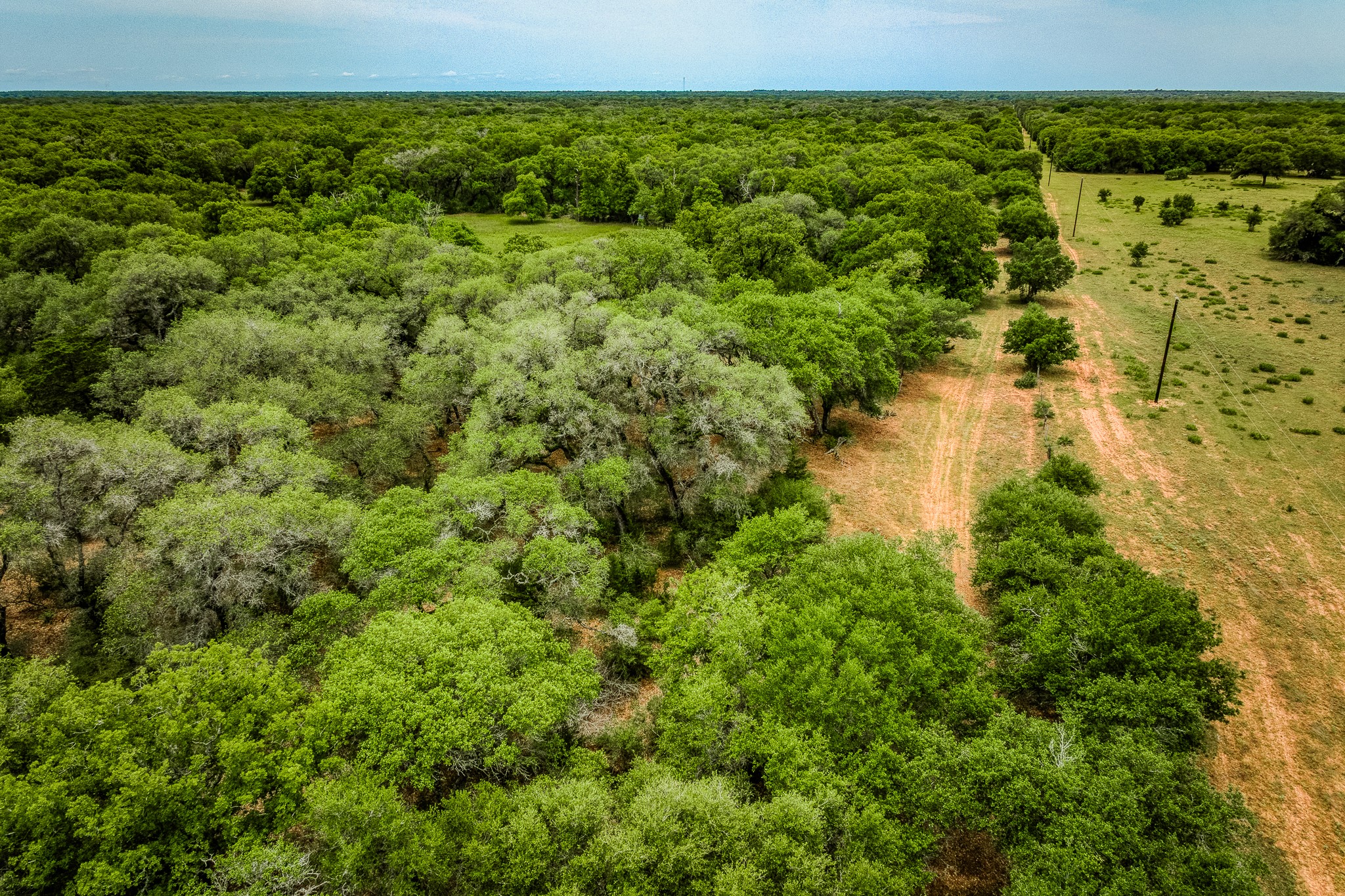 Tbd Cr 125 Property Photo 24