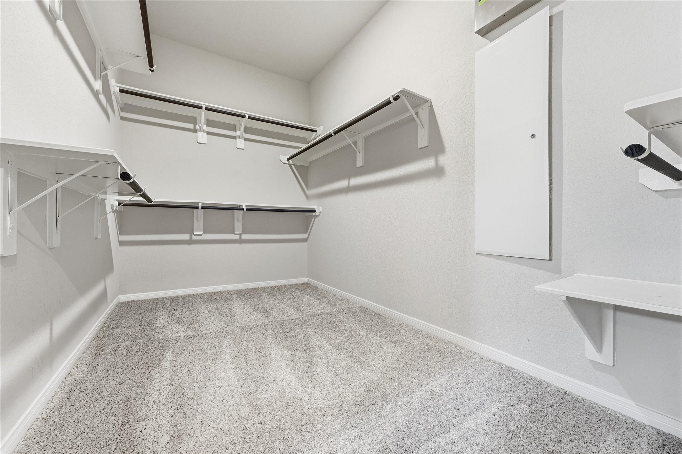 29030 Karloo Walk Way Property Photo 18