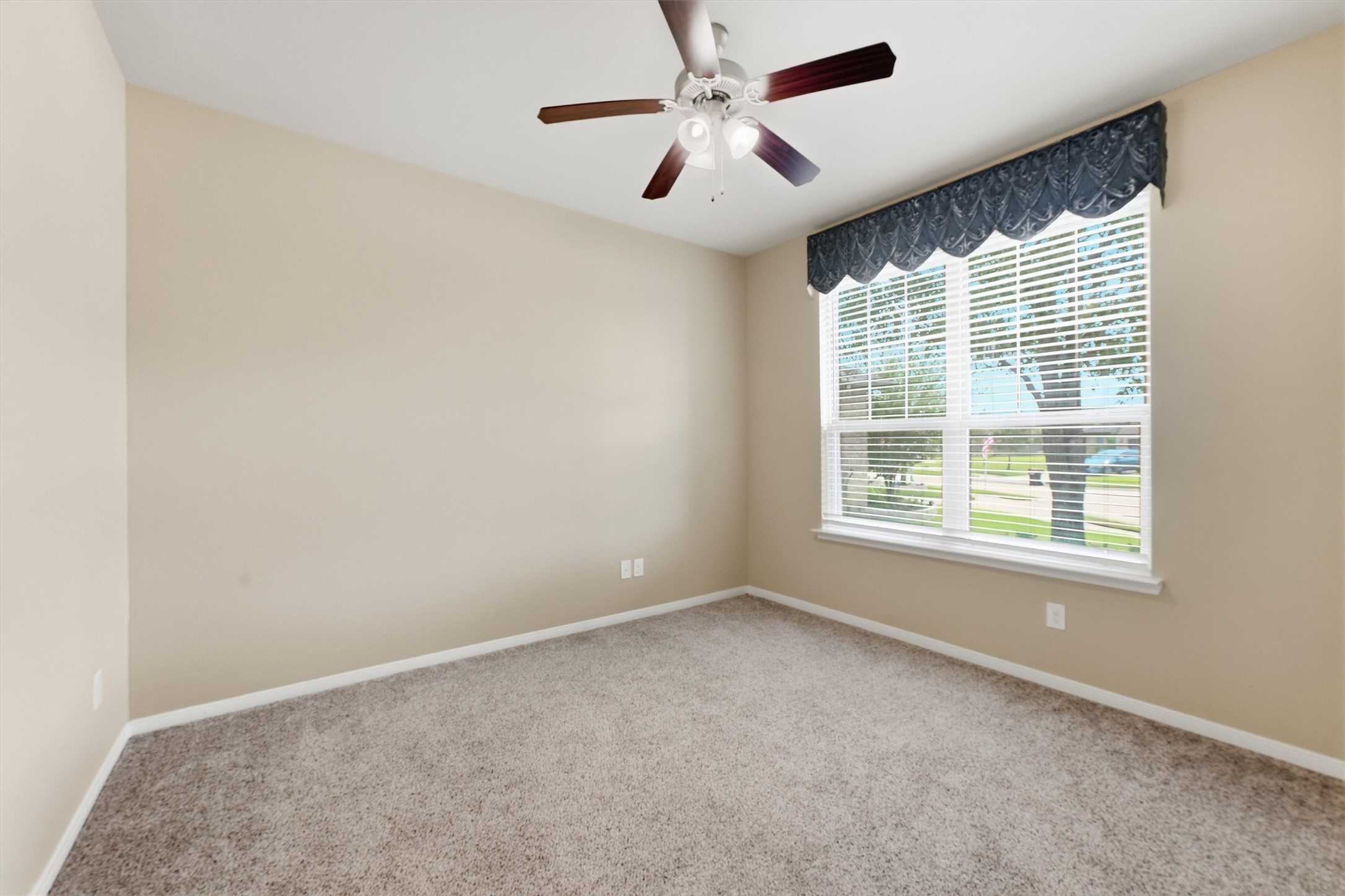 29030 Karloo Walk Way Property Photo 25