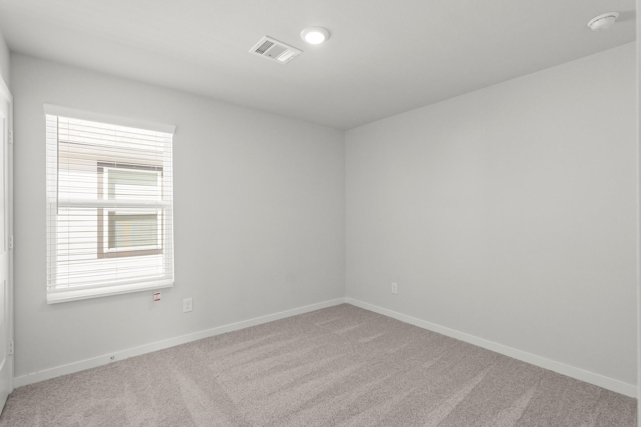 298 Brazen Forest Trl Property Photo 12