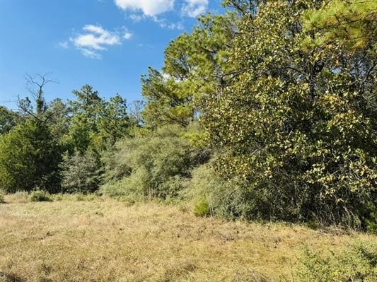Lot 82 Lakeland Loop Property Photo 2