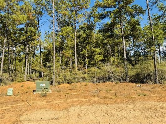 Lot 82 Lakeland Loop Property Photo 3