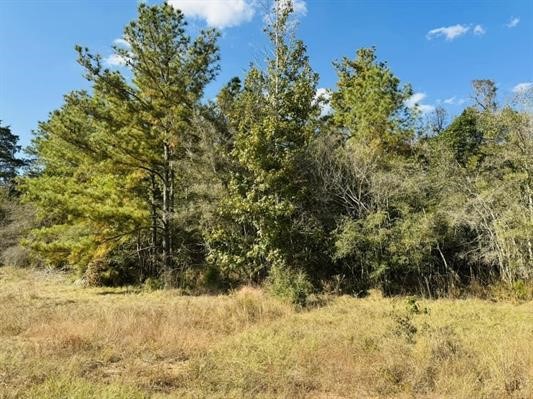 Lot 82 Lakeland Loop Property Photo 4
