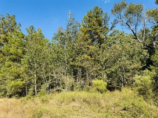 Lot 82 Lakeland Loop Property Photo 5