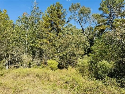 Lot 82 Lakeland Loop Property Photo 6