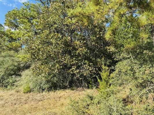 Lot 82 Lakeland Loop Property Photo 7