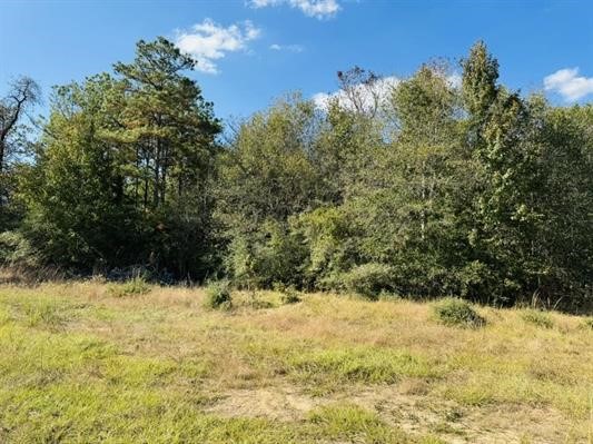 Lot 82 Lakeland Loop Property Photo 8