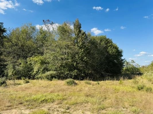 Lot 82 Lakeland Loop Property Photo 9
