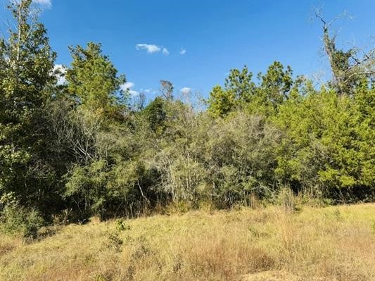 Lot 82 Lakeland Loop Property Photo 10