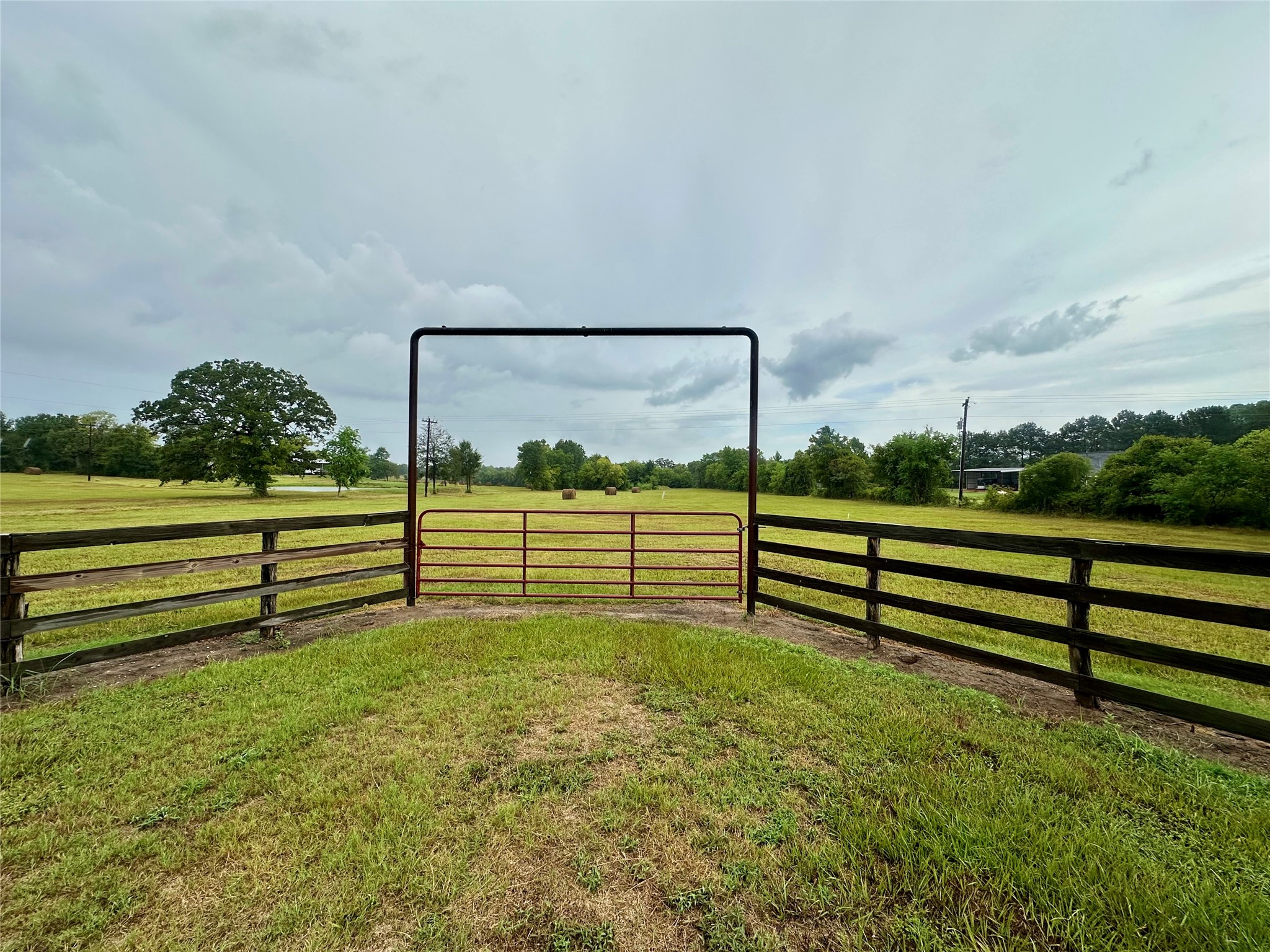 TBD Roy Webb Road Road