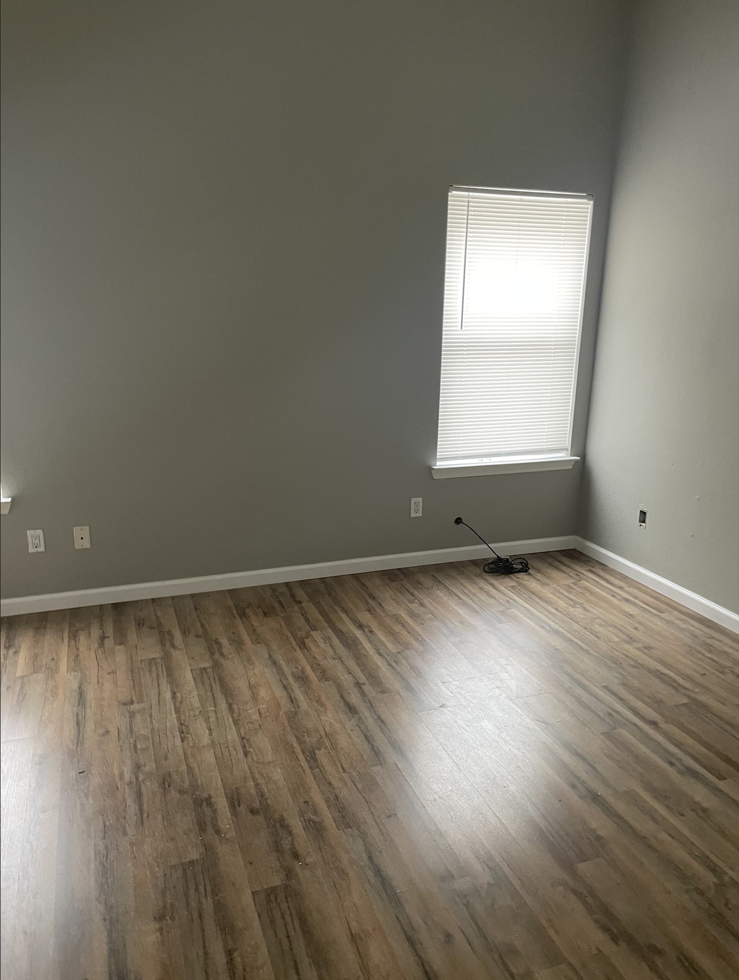 7306 Dartmouth Drive Property Photo 8