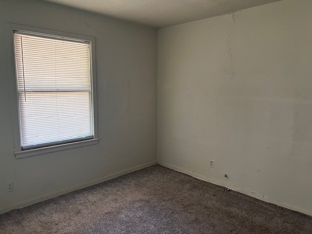 273 Sammons Street Property Photo 5