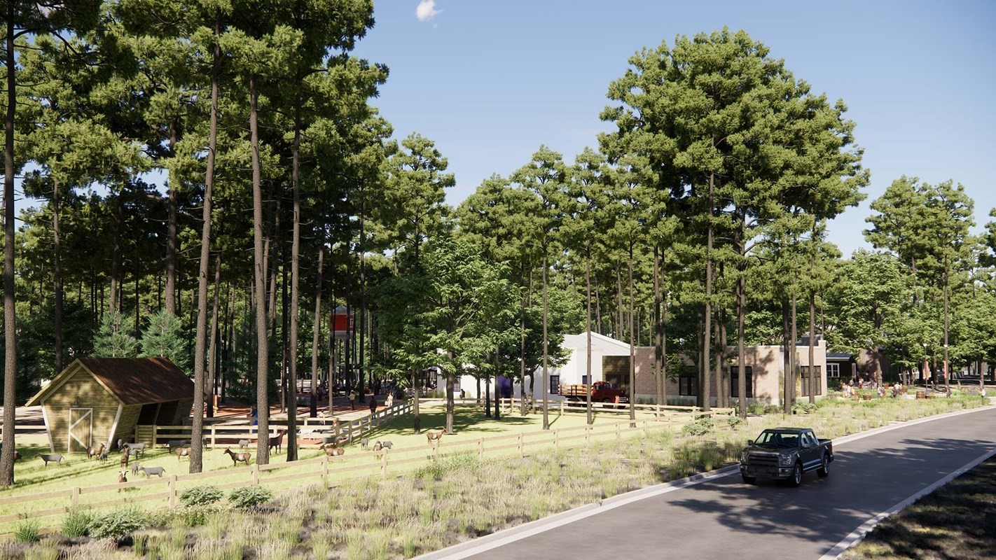 11476 Billy Bobs Street Property Photo 49