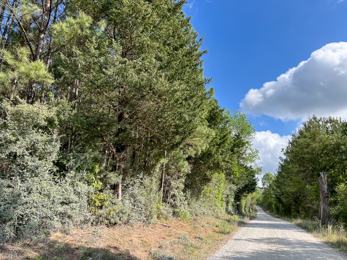 2 Cr 4280 Property Photo 2