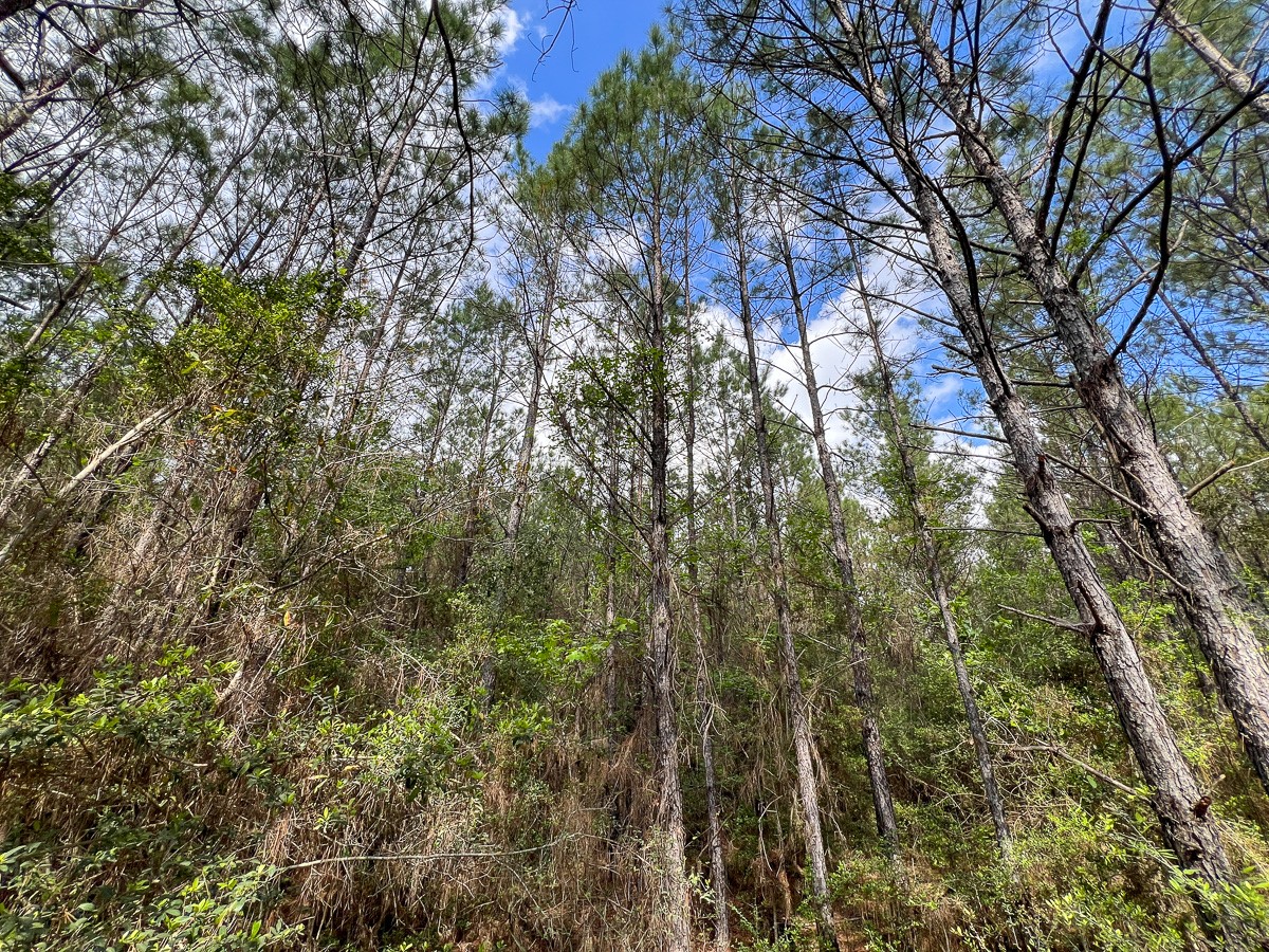 2 Cr 4280 Property Photo 8