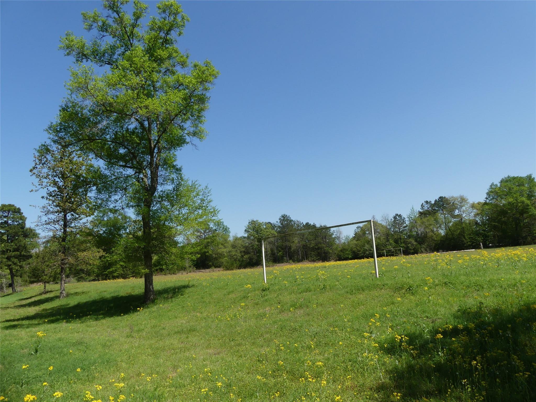 10994 Kittys Lane, Conroe Tx 77303 Property Photo 14