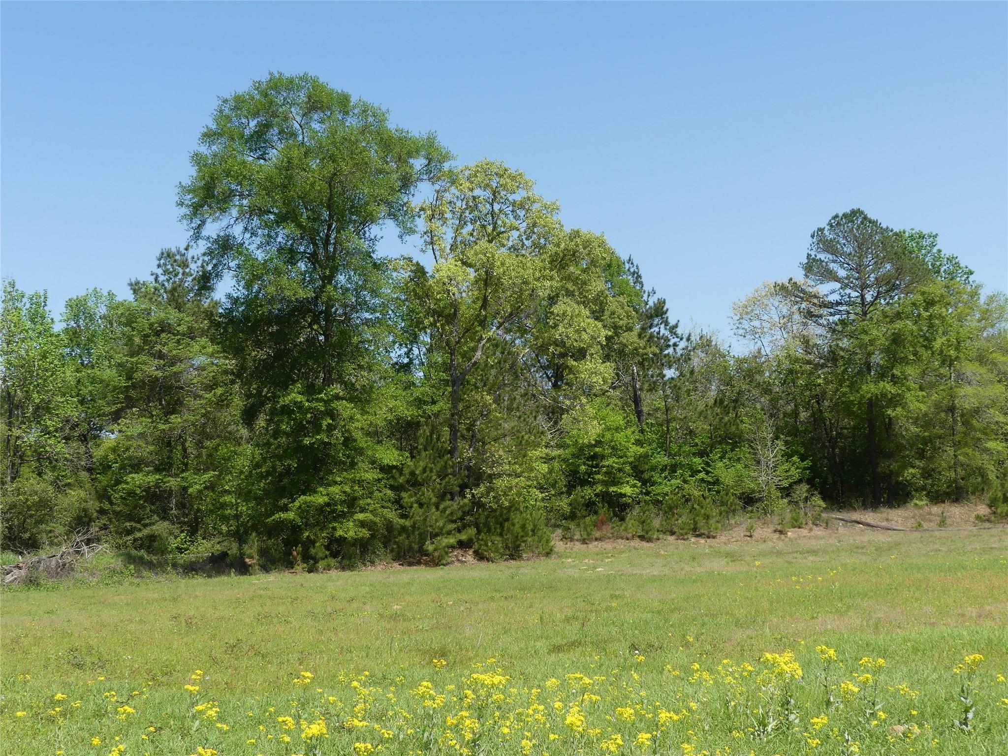 10994 Kittys Lane, Conroe Tx 77303 Property Photo 24