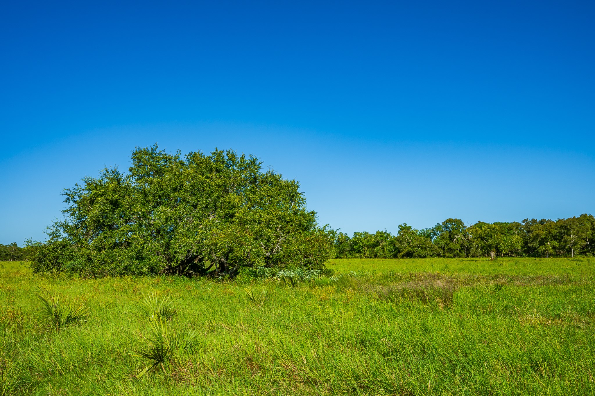 700 Cr-700 Property Photo 4
