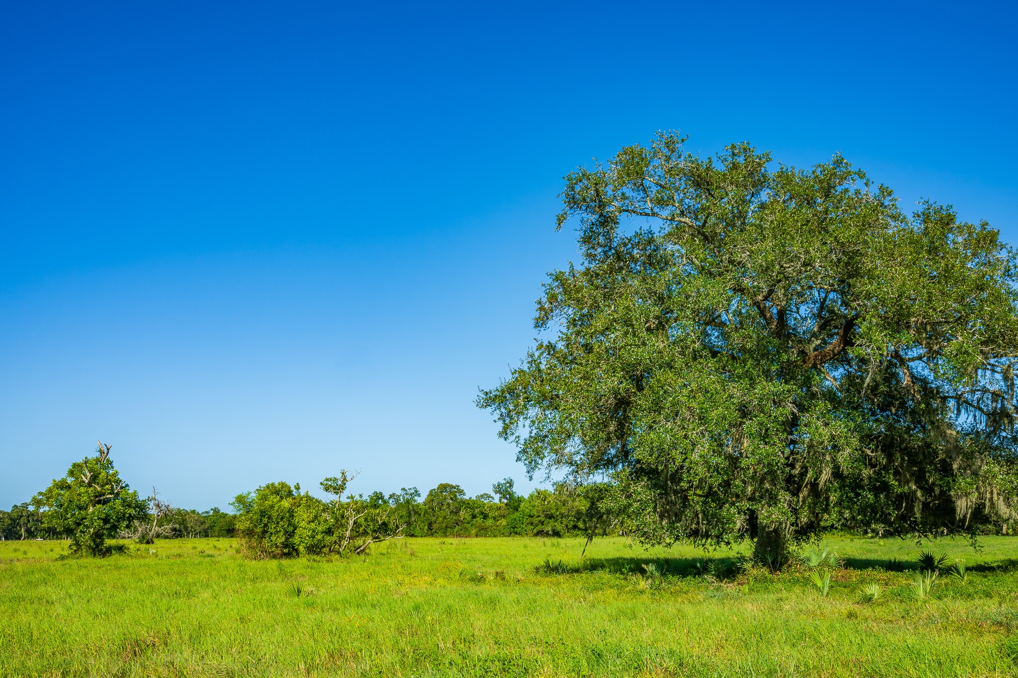 700 Cr-700 Property Photo 6