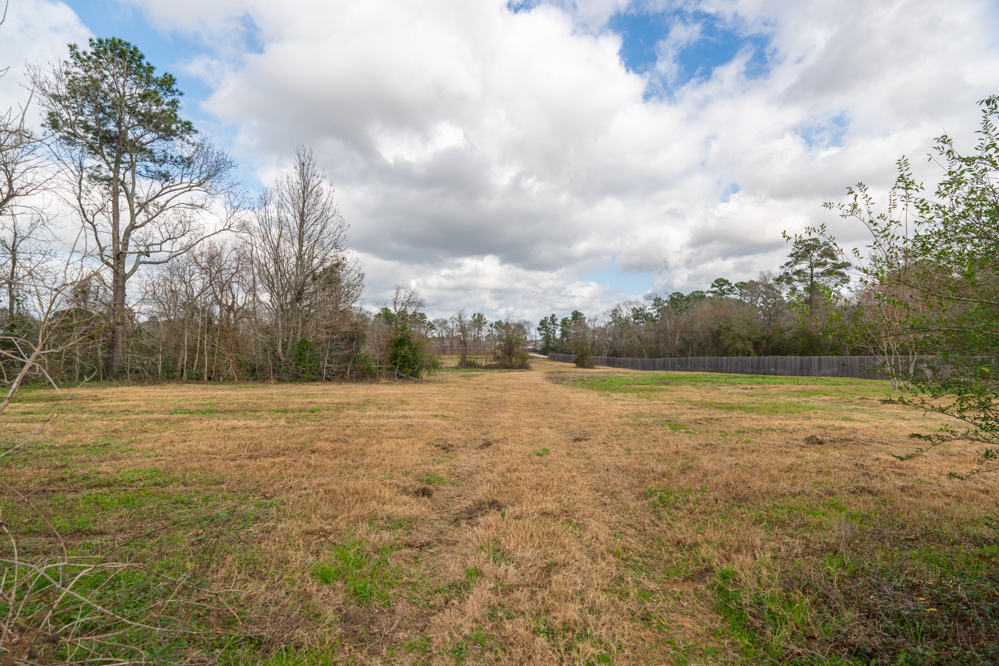 25503 Hufsmith Cemetery Road Property Photo 15