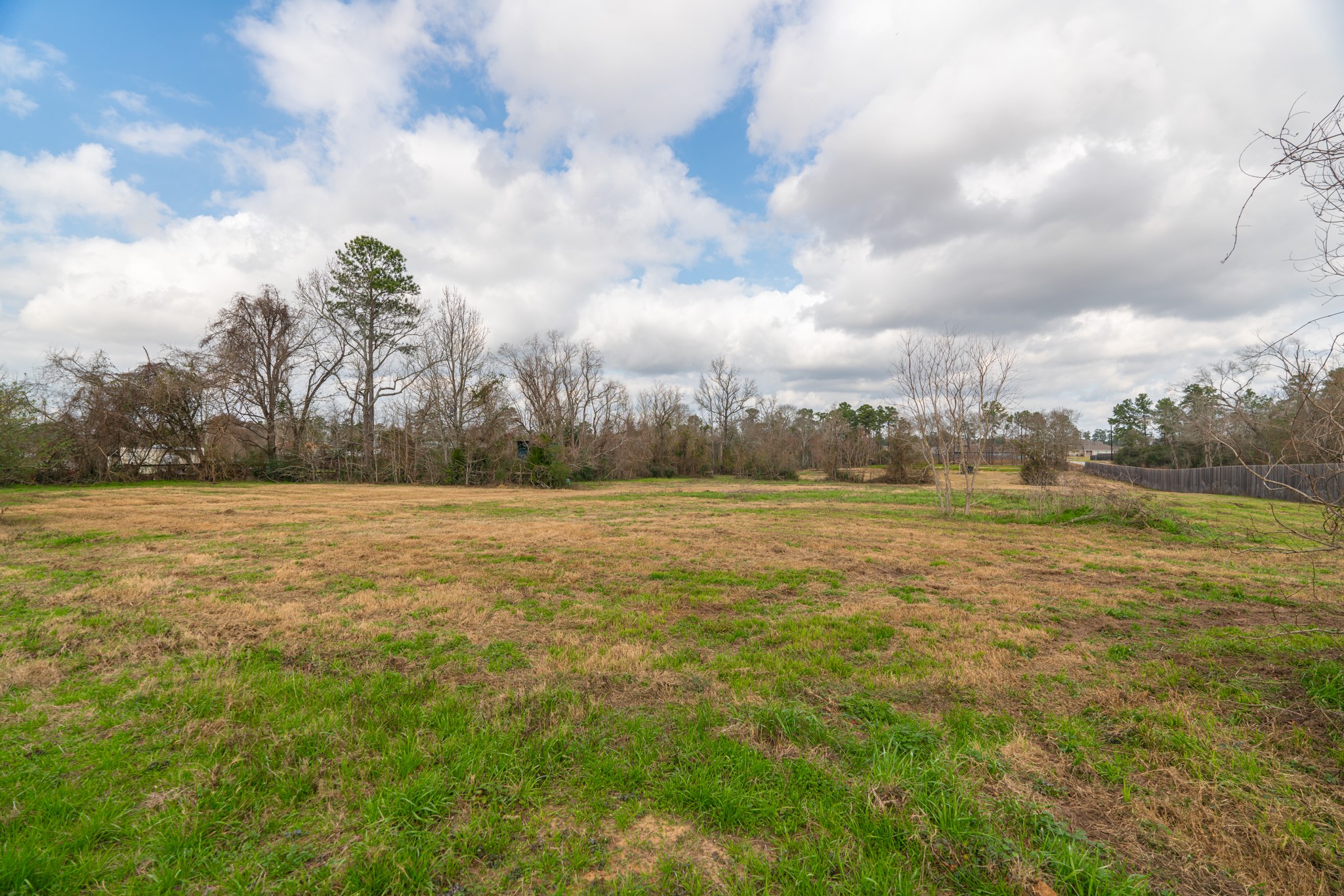 25503 Hufsmith Cemetery Road Property Photo 16