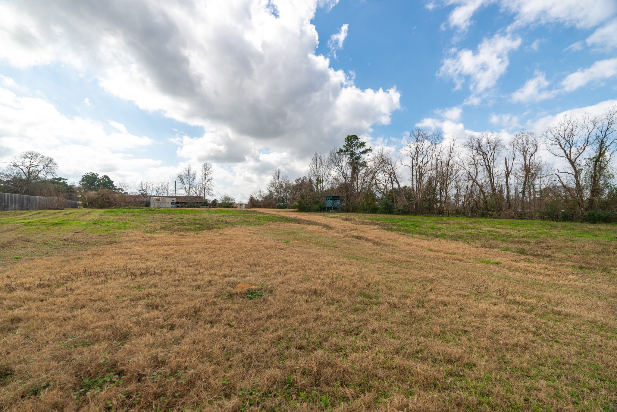 25503 Hufsmith Cemetery Road Property Photo 19