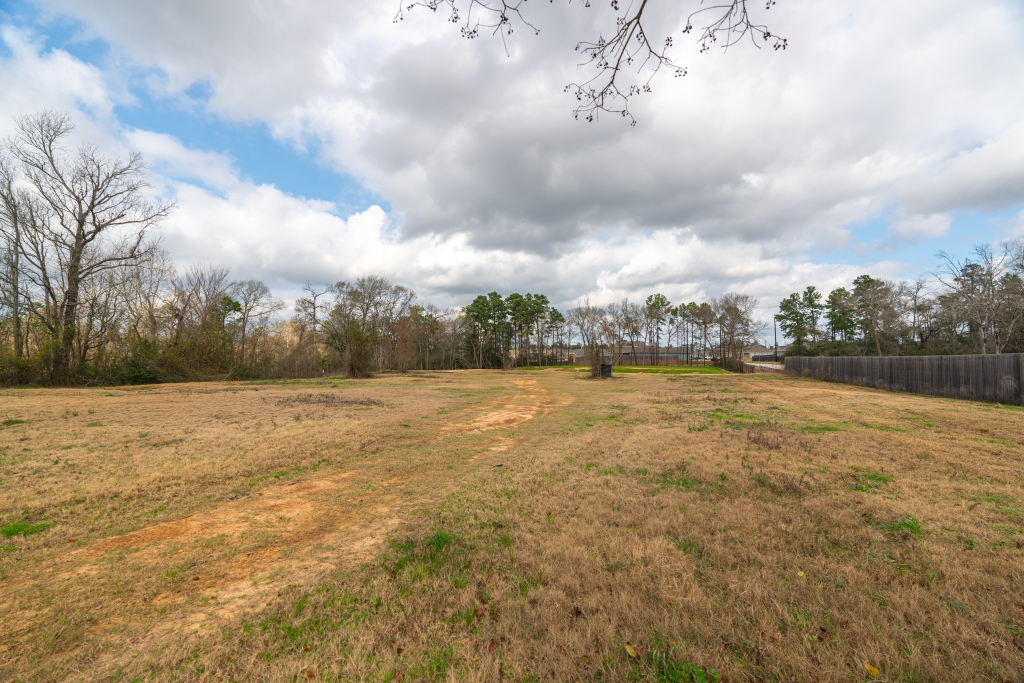 25503 Hufsmith Cemetery Road Property Photo 20