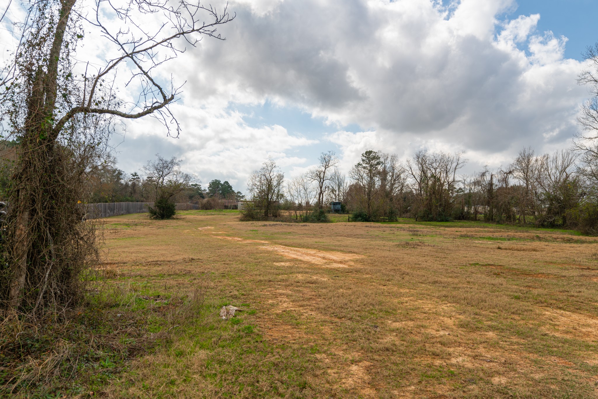 25503 Hufsmith Cemetery Road Property Photo 22