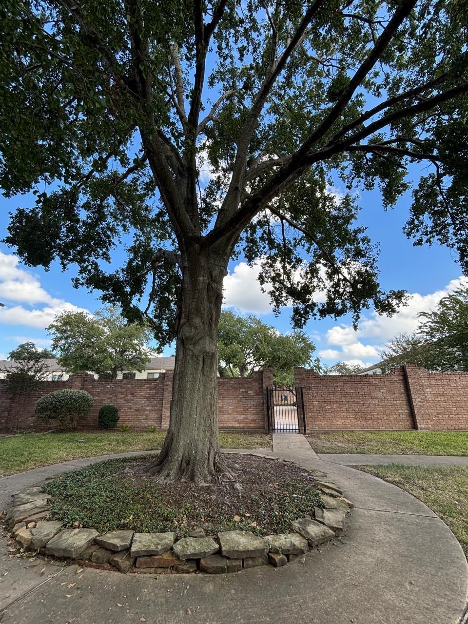 14567 Still Meadow Drive Property Photo 39