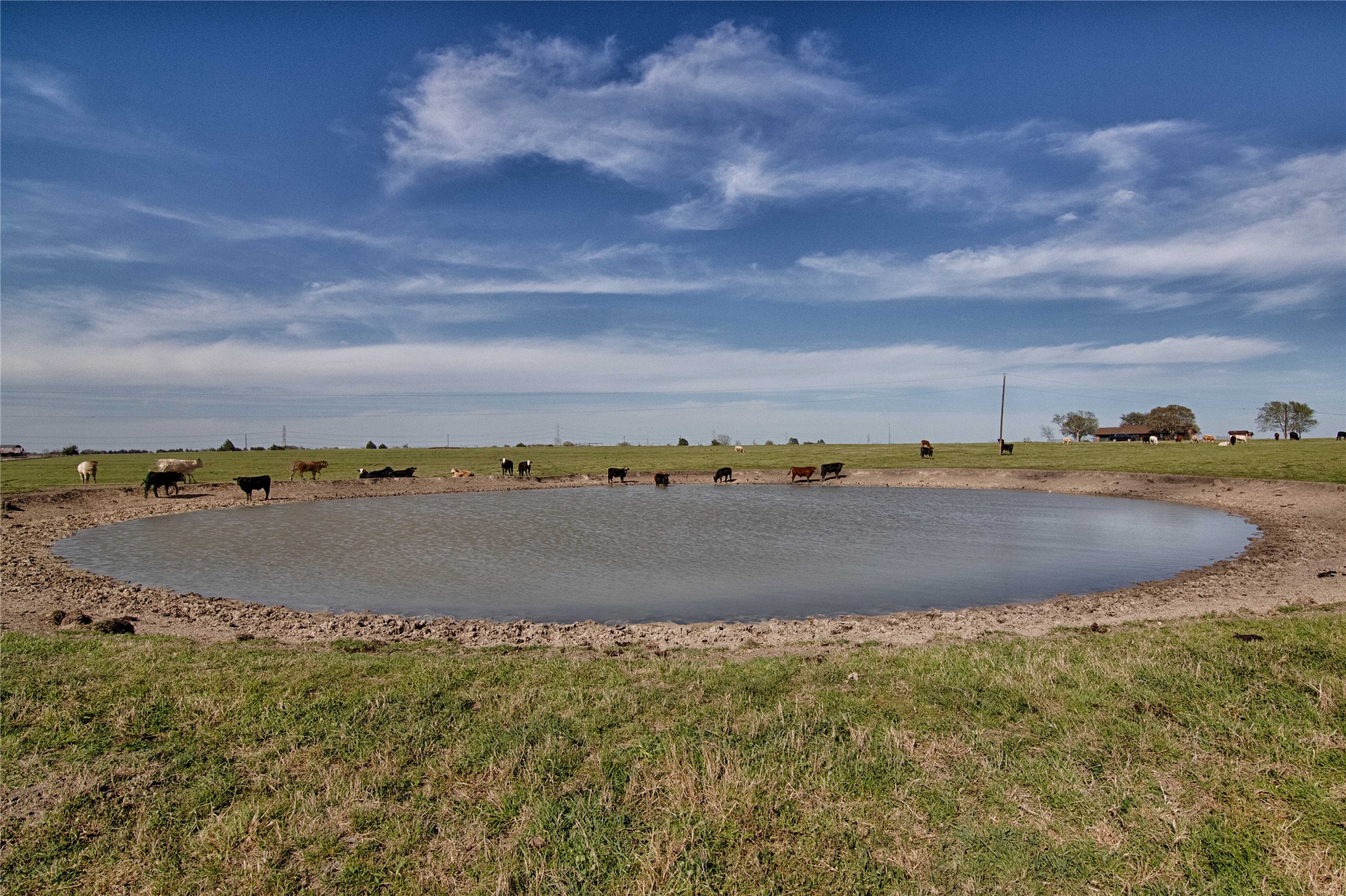 11552 Fm 1383 Property Photo 3