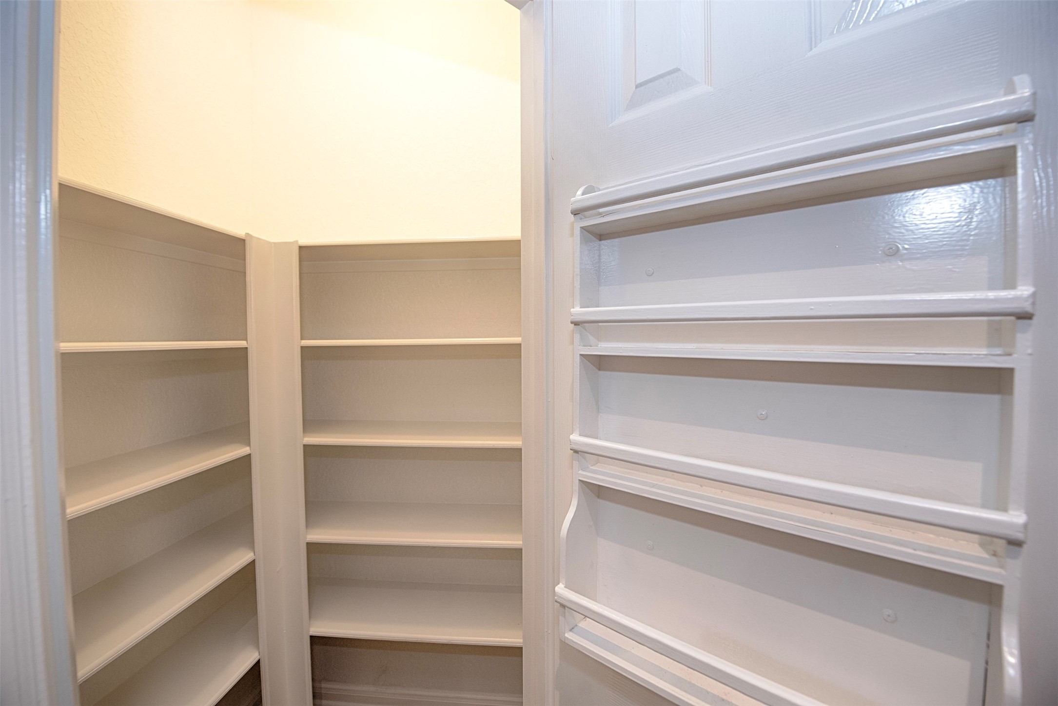 10411 Village Lake Drive Property Photo 12
