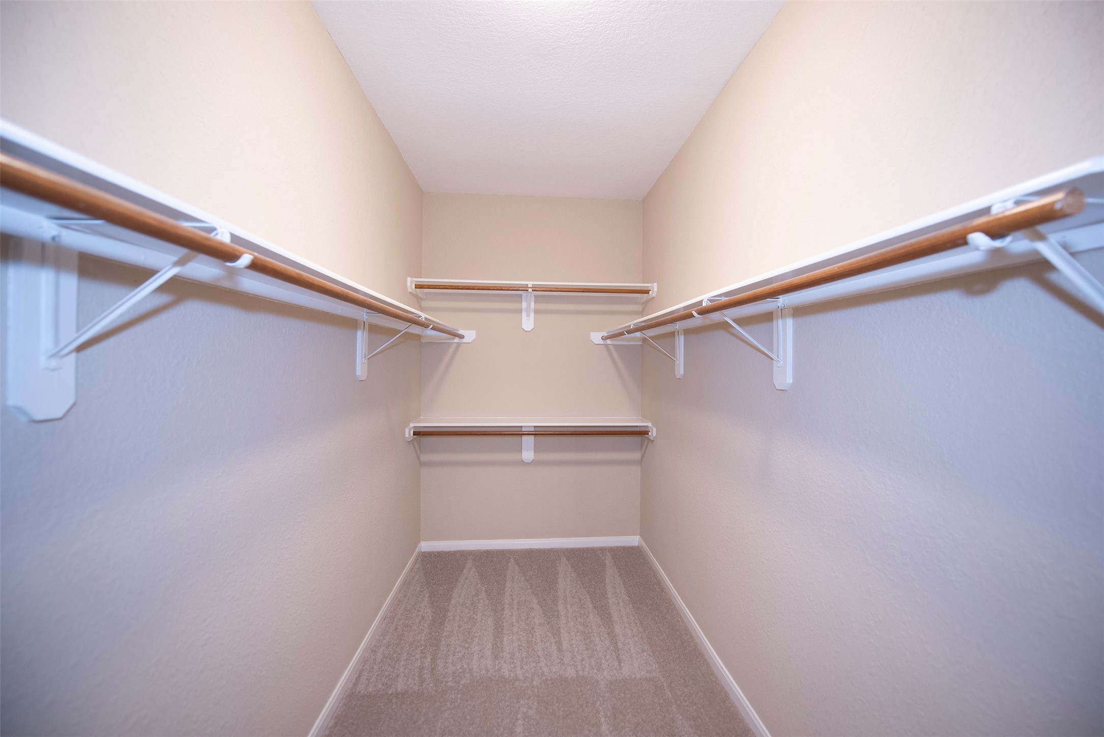 10411 Village Lake Drive Property Photo 24