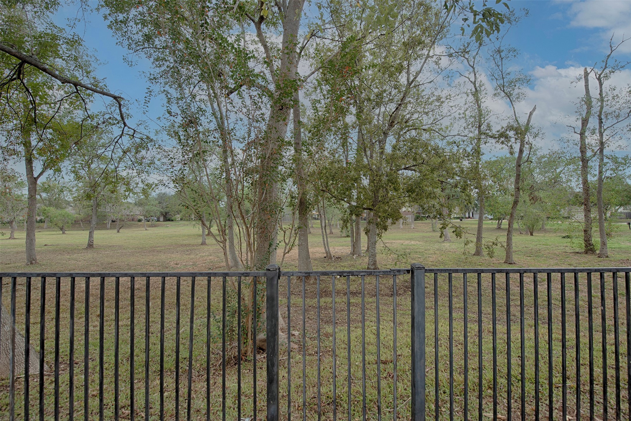 10411 Village Lake Drive Property Photo 38
