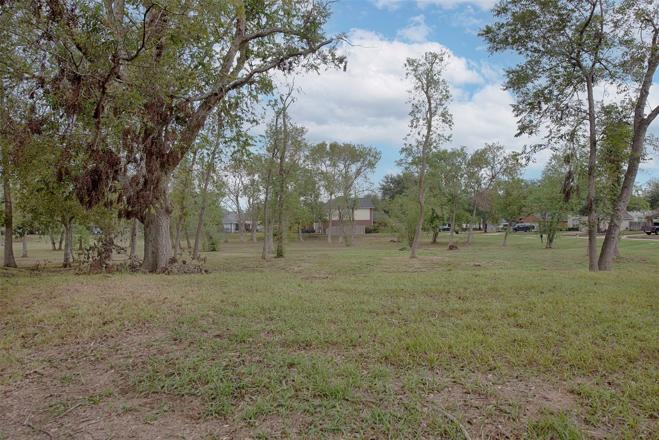 10411 Village Lake Drive Property Photo 40