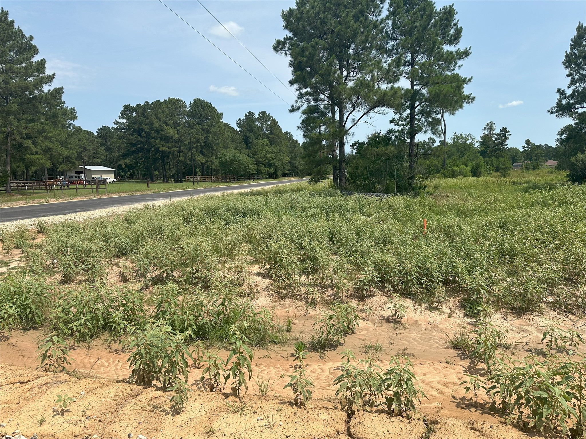 31879 Boone Road Property Photo 7