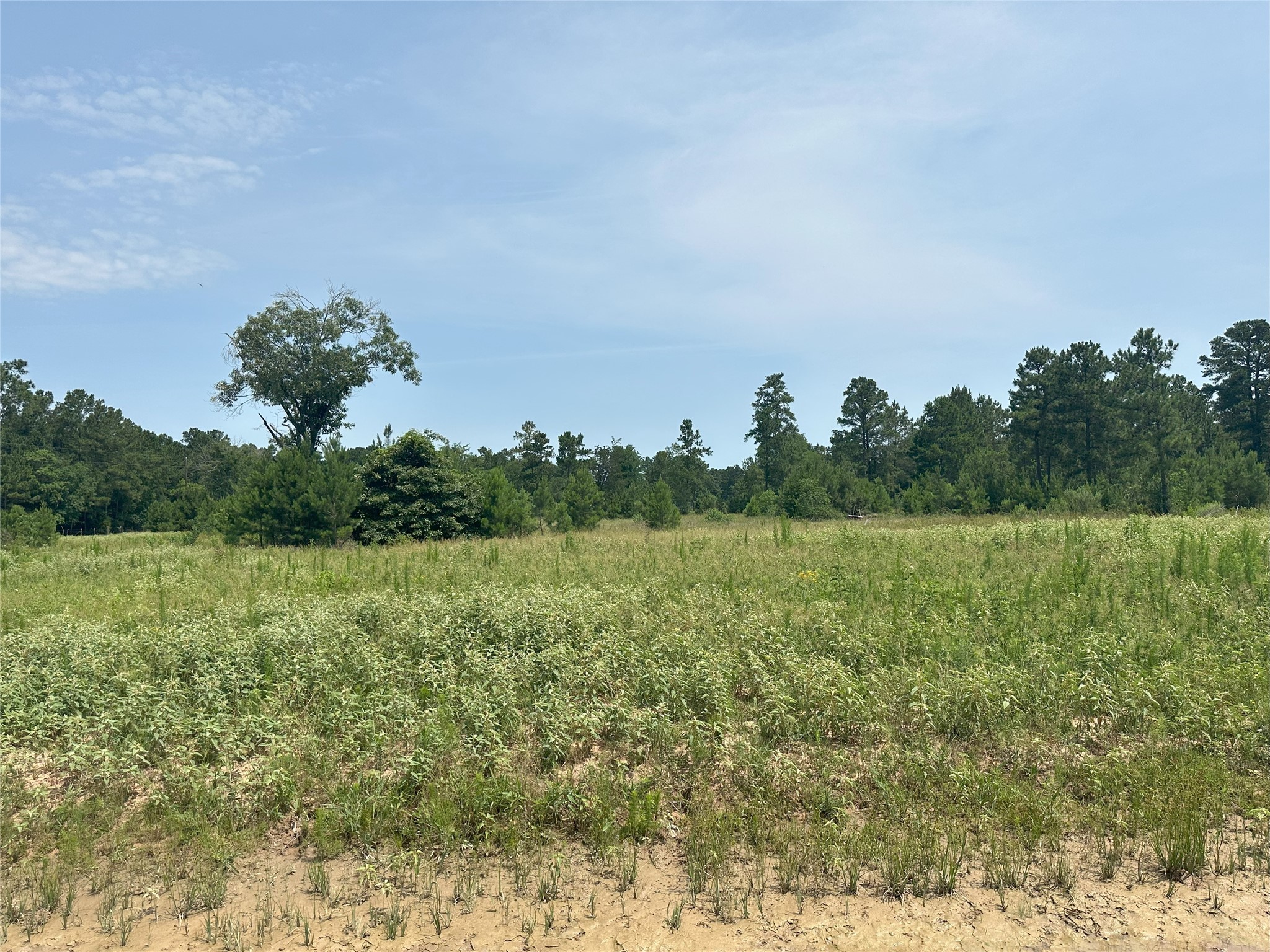 31879 Boone Road Property Photo 9