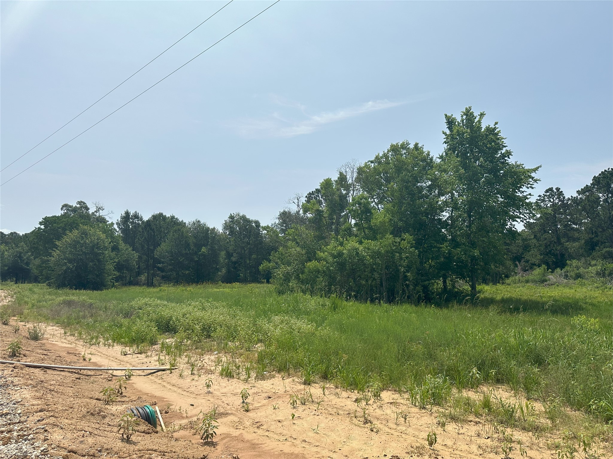 31879 Boone Road Property Photo 10