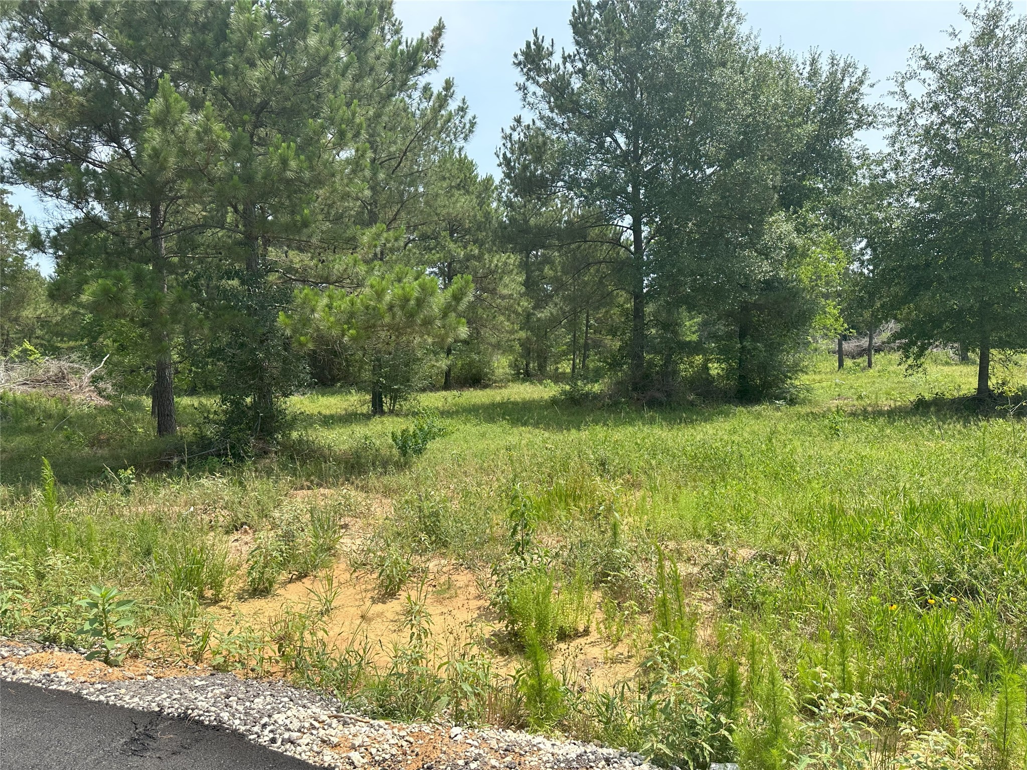 31879 Boone Road Property Photo 15
