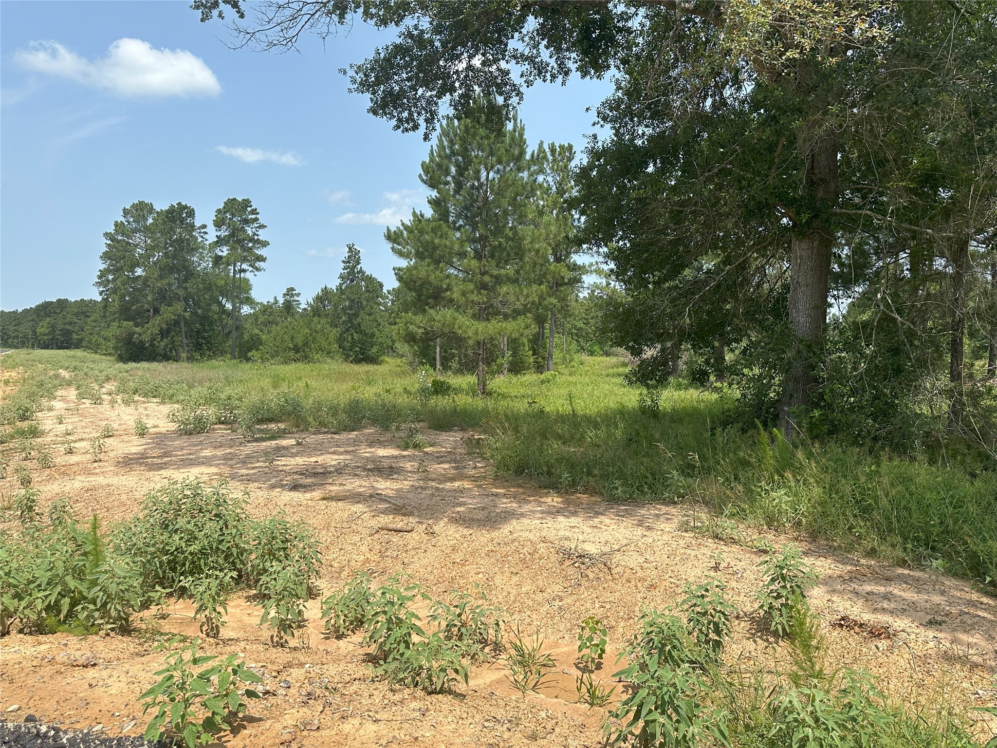 31879 Boone Road Property Photo 16