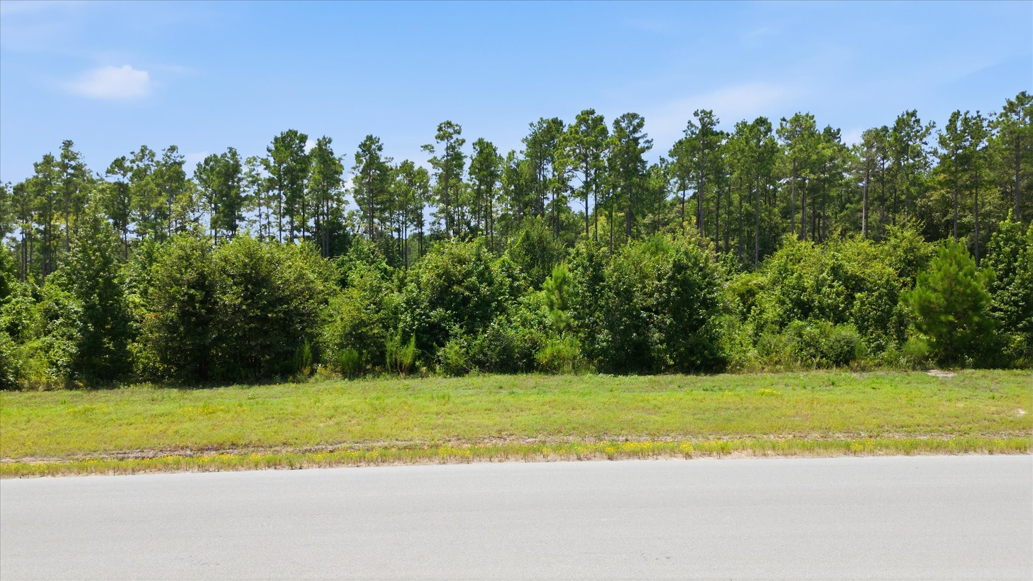 15977 Ridge Oak Road Property Photo 3