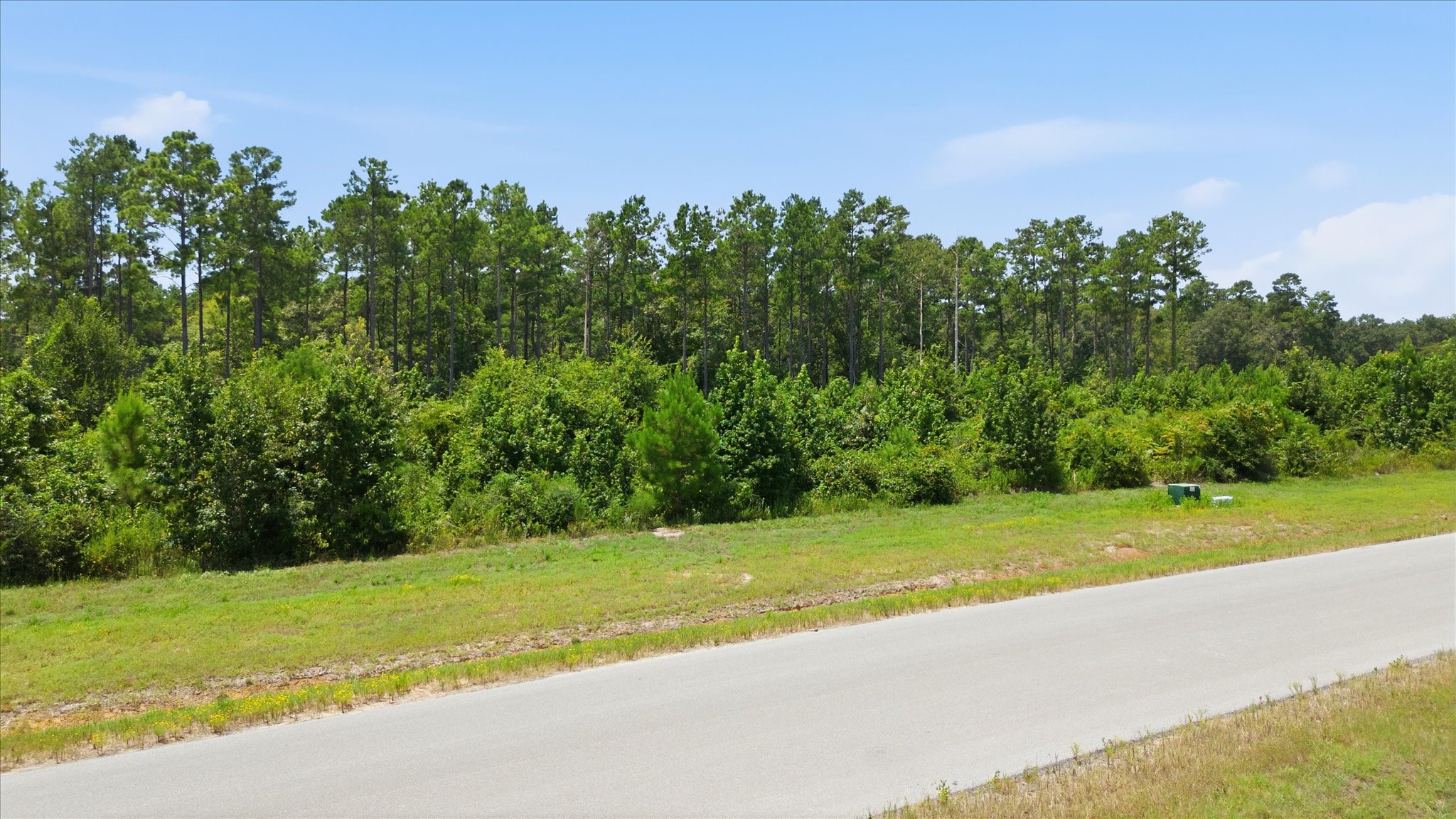 15977 Ridge Oak Road Property Photo 4