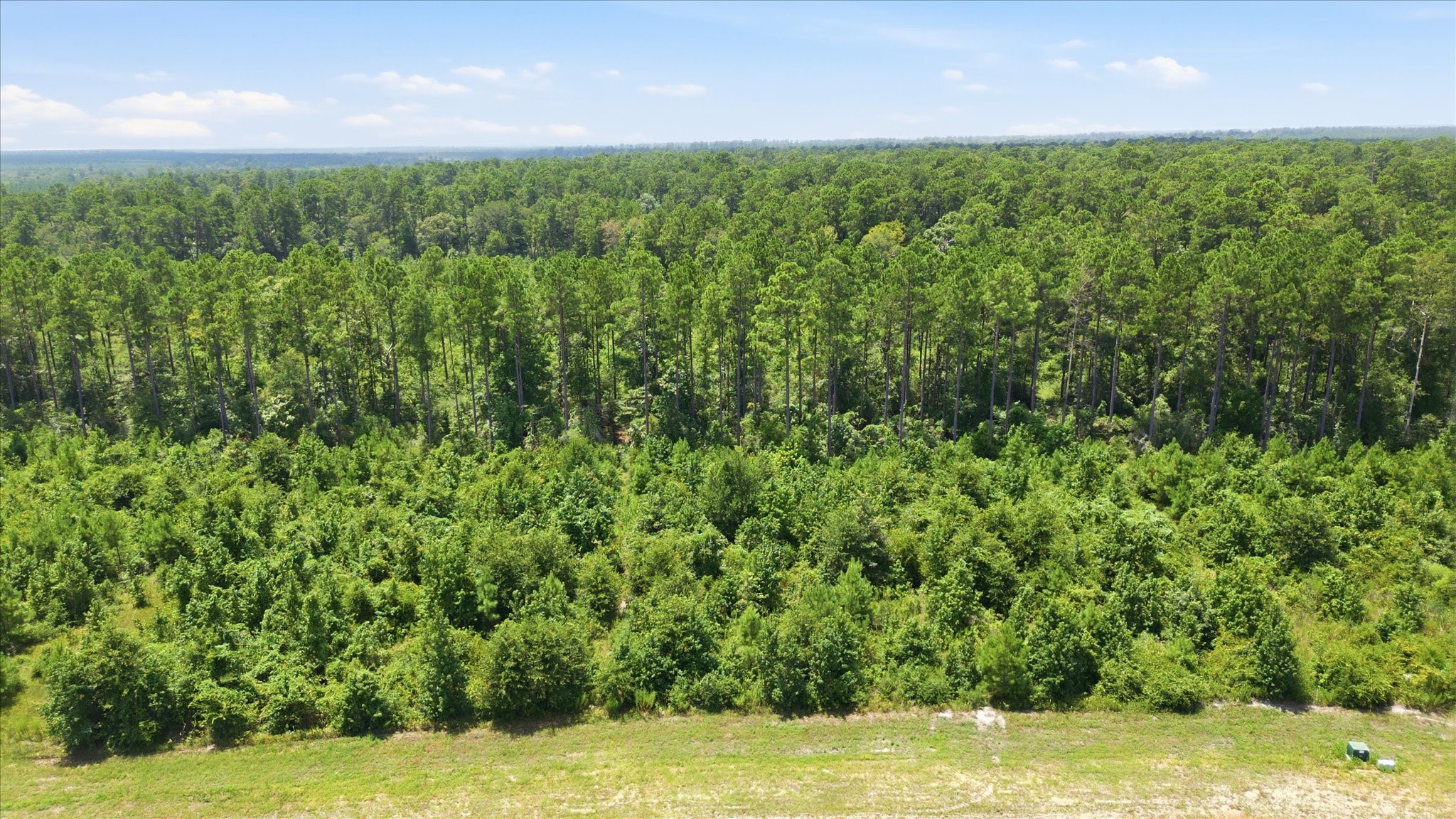 15977 Ridge Oak Road Property Photo 7