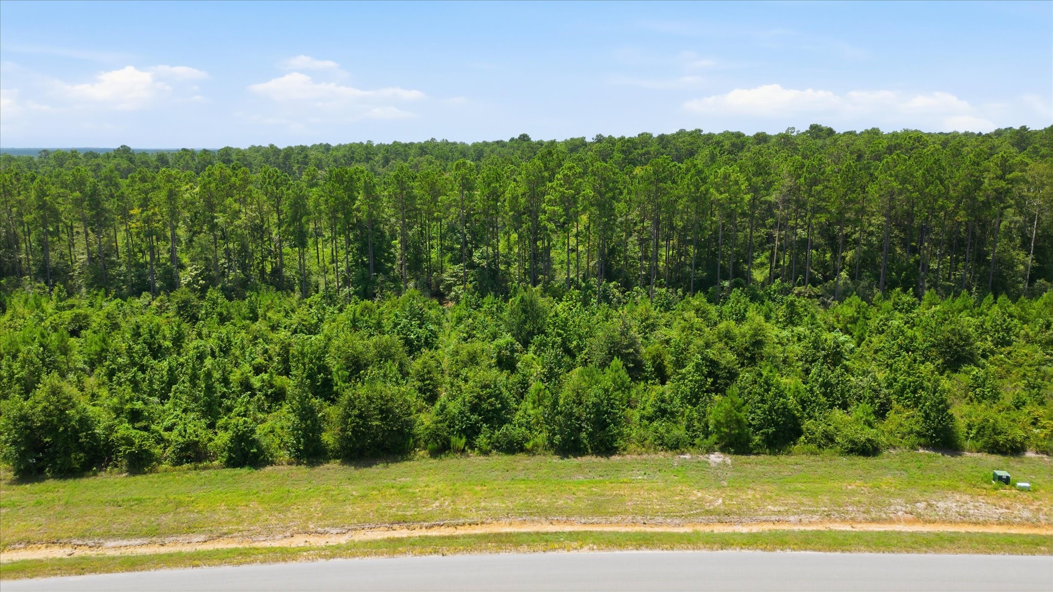 15977 Ridge Oak Road Property Photo 8