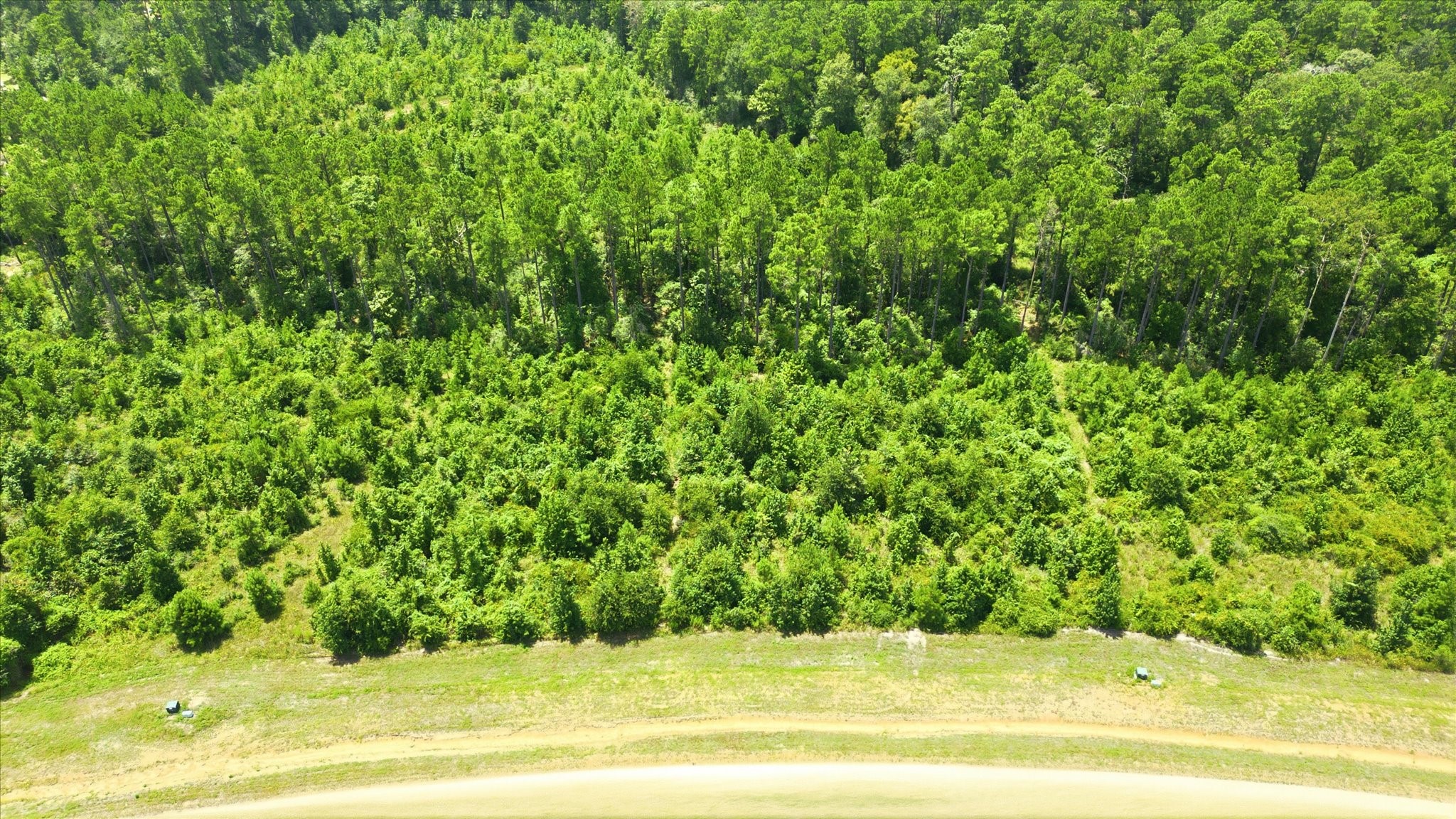 15977 Ridge Oak Road Property Photo 10